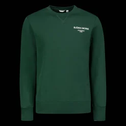 Borg Essential 1 Crew, miesten collegepaita - Hupparit - Borg Essential 1 Crew, miesten collegepaita