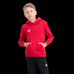 ENT22 Hoddy, huppari junior - Pitkähihaiset Treenipaidat - ENT22 Hoddy, huppari junior