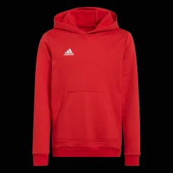 ENT22 Hoddy, huppari junior - Pitkähihaiset Treenipaidat - ENT22 Hoddy, huppari junior