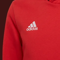 ENT22 Hoddy, huppari junior - Pitkähihaiset Treenipaidat - ENT22 Hoddy, huppari junior