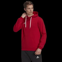 ENT22 Hoody, miesten huppari - Pitkähihaiset Treenipaidat - ENT22 Hoody, miesten huppari