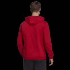 ENT22 Hoody, miesten huppari - Pitkähihaiset Treenipaidat - ENT22 Hoody, miesten huppari