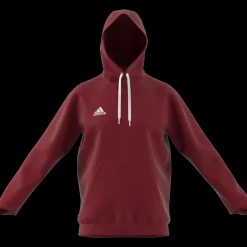 ENT22 Hoody, miesten huppari - Pitkähihaiset Treenipaidat - ENT22 Hoody, miesten huppari