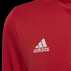 Entrada 22 Training Top, nuorten treenipaita - Pitkähihaiset Treenipaidat - Entrada 22 Training Top, nuorten treenipaita