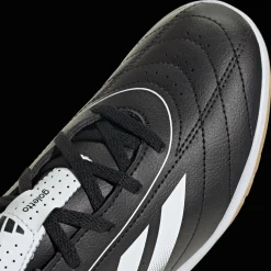 Goletto IX IN, nuorten futsalkengät - Jalkapallokengät Ja Nappikset - Goletto IX IN, nuorten futsalkengät