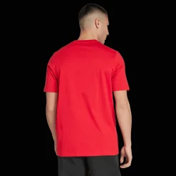 Manchester United DNA Graphic Tee, miesten T-paita - Premier League - Manchester United DNA Graphic Tee, miesten T-paita