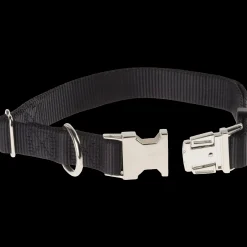 Nylon collar,Koiran nailon kaulapanta - Koiran Pannat, Hihnat Ja Koiran Fleksit - Nylon collar,Koiran nailon kaulapanta