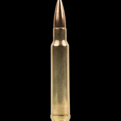 338WM 14,6 JAKTMATCH NORMA - Kiväärin patruunat - 338WM 14,6 JAKTMATCH NORMA